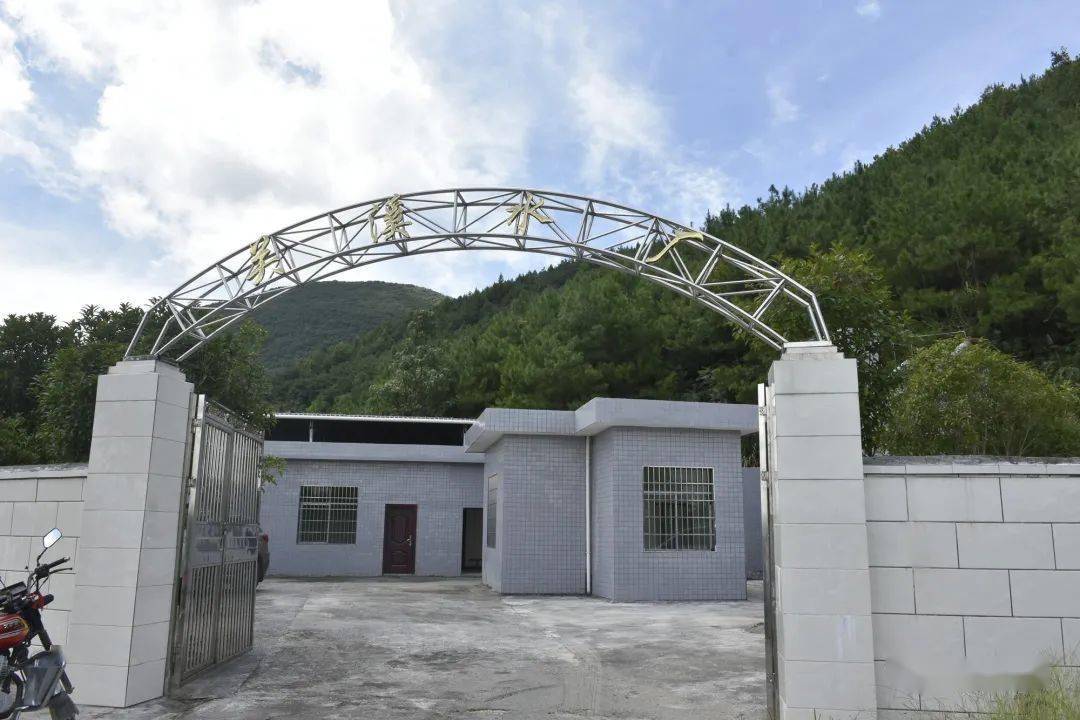 放心水托起关溪乡乡村振兴蝶变梦