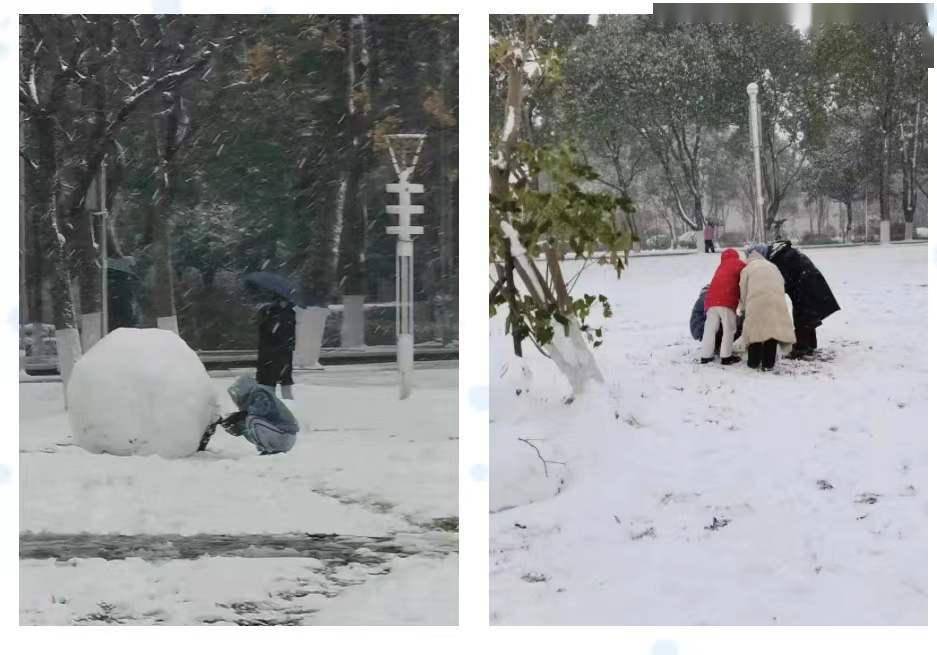 初雪|湖南高校初雪图鉴 第一次这么认真地赏雪