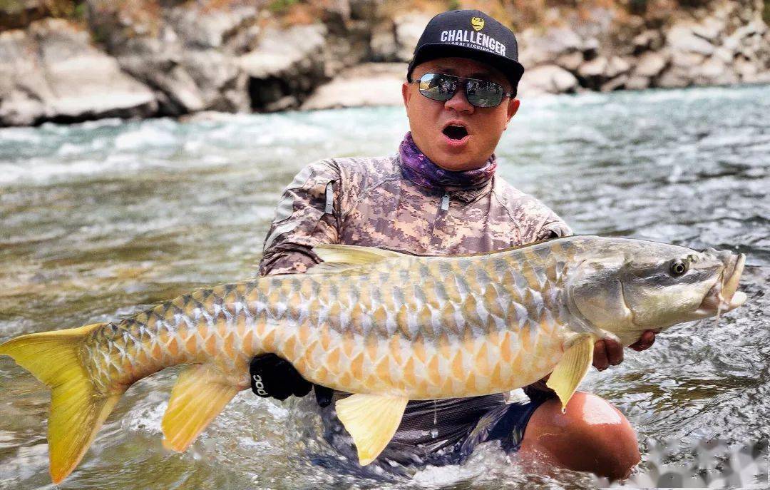 拜会喜马拉雅山脚下的河流精灵尼泊尔秘境探钓金吉罗鱼中