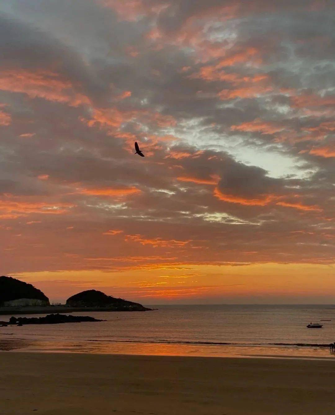 半边山|象山北纬30度最美海岸线太美了！跟着“经海逐浪”精品线路，游起来~