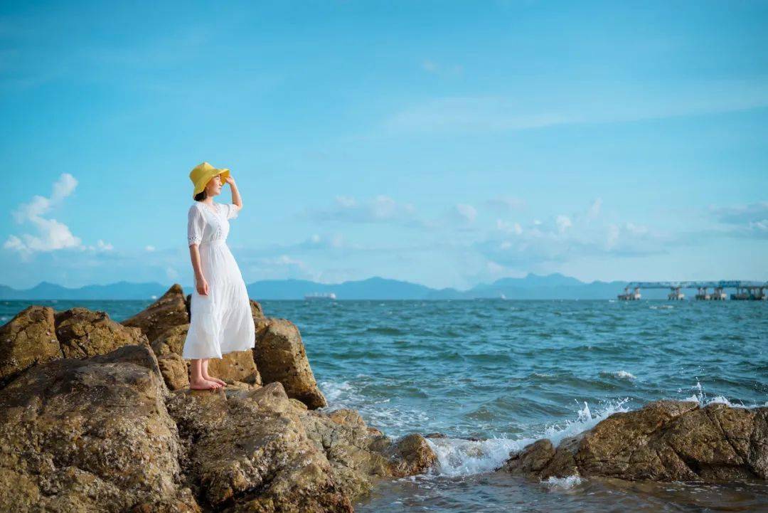 曹操|聪明与智慧的区别（深刻）