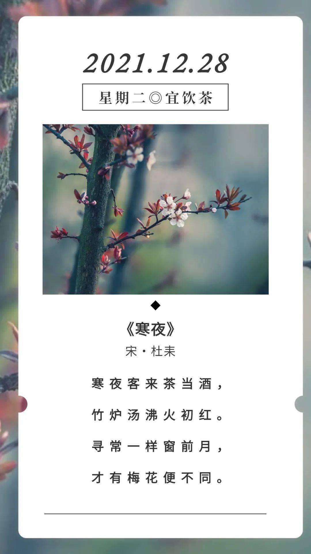 古诗词日历 | 杜耒《寒夜》赏析_客人_火炉_月光