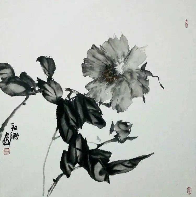 【国画天地】古韵浓厚又不缺乏现代气息的水墨牡丹_梁朝德_创作部