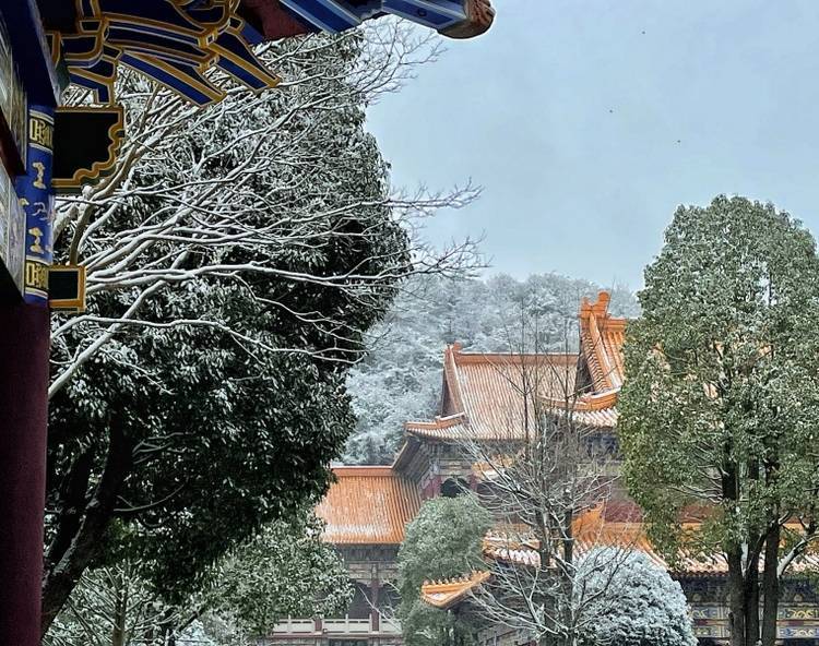 雪景|贵阳西普陀寺初雪素装