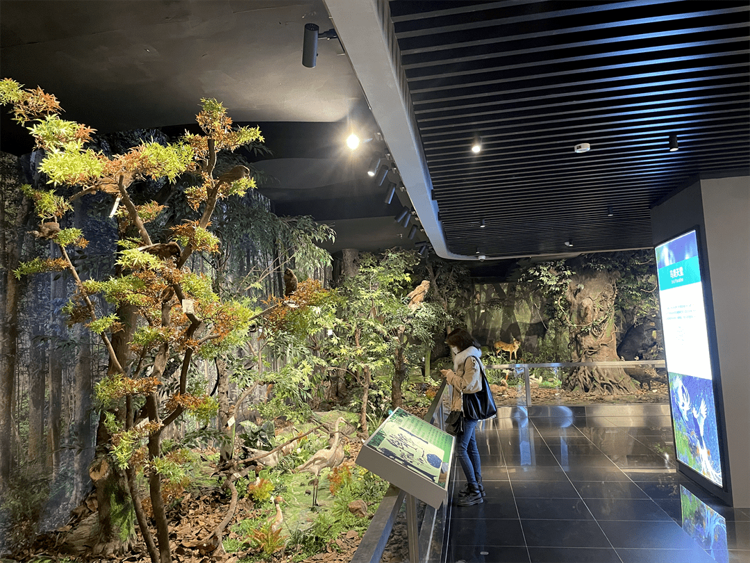 冬游峨眉正当时快去打卡峨眉山博物馆20