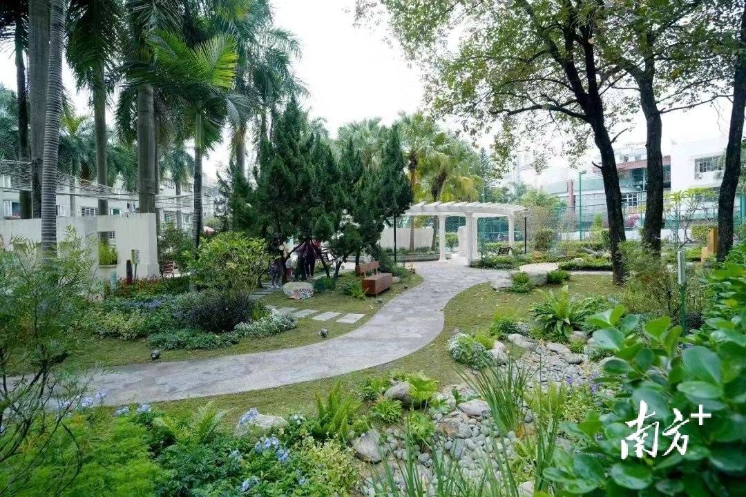 绿地变花园南山粤海新增两处社区共建花园
