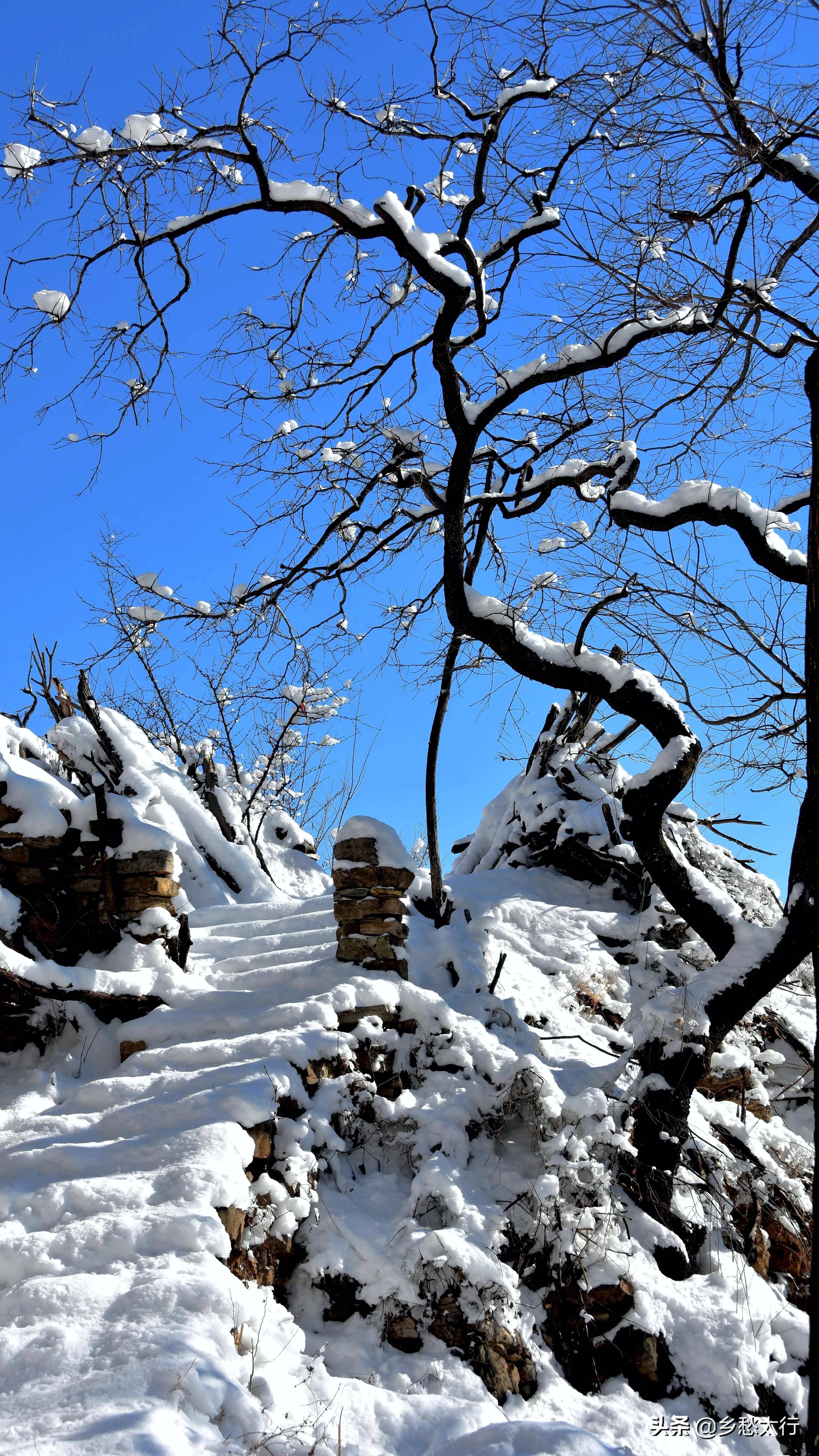 下雪的景色 农村图片