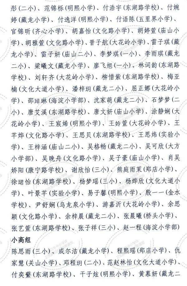 获奖名单东西湖区吴家山第一小学洪山区洪山二小音乐类比赛分为器乐组