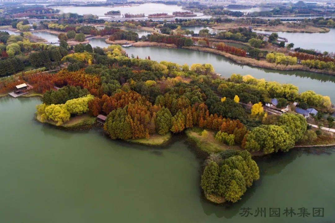 虎丘湿地公园2021图片