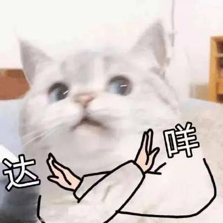 b497989a4060423484be48135f9afaee.jpeg