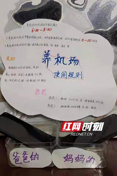共享亲子好时光 青园教育集团友谊校区建起家庭"养机场"_手机_家长