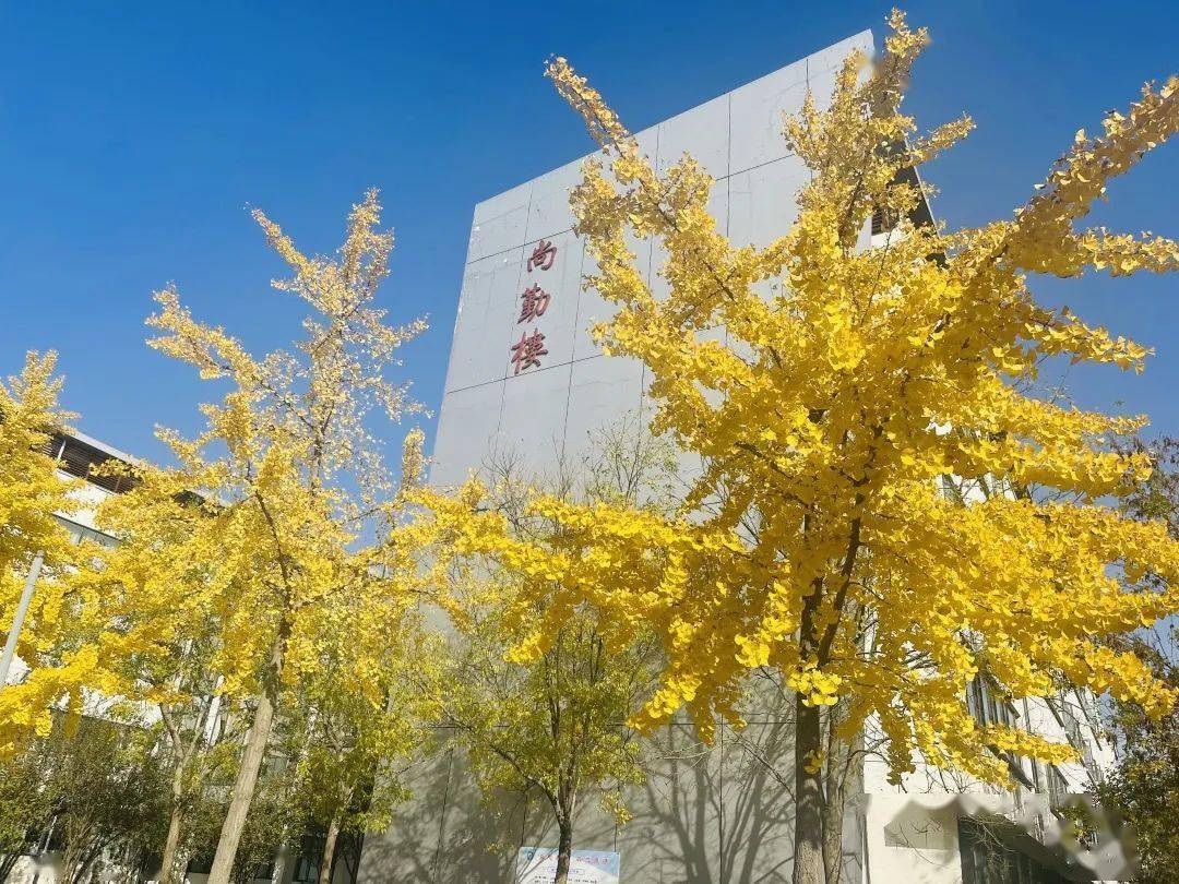 耀华滨海学校开展"秋收冬藏"美育主题摄影展_校园_李昕琪_杜思潼