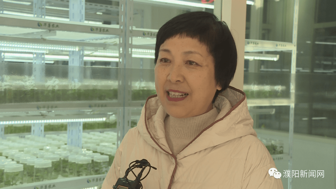 清丰县现代农业产业服务中心主任 刘金蕊:我们将进一步加大服务力度