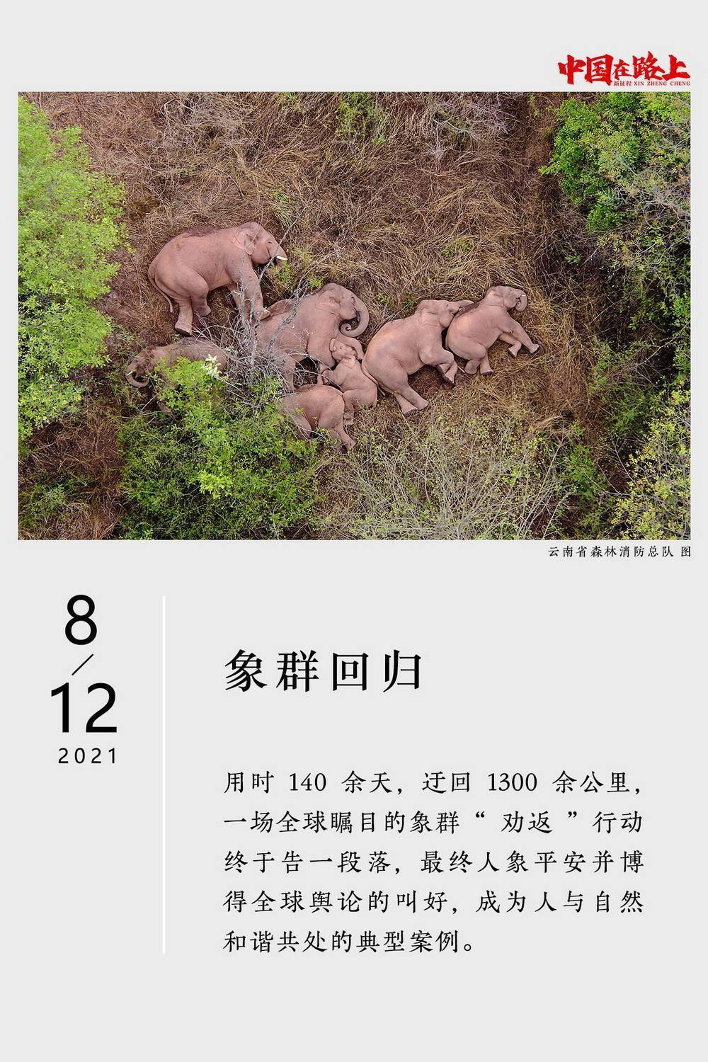 征程|2021年度图片报道·新征程｜31张日历记录：中国在路上