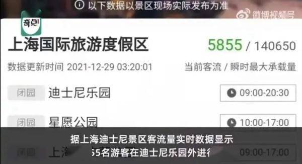 度假区|凌晨3点，5000多人排队抢购？这一幕太疯狂！