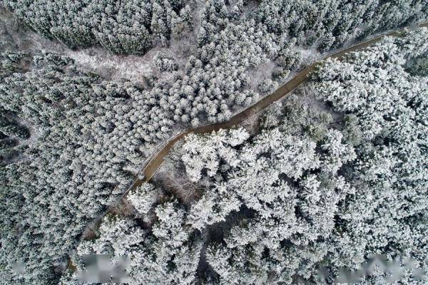 贵州|贵州黔西连降瑞雪