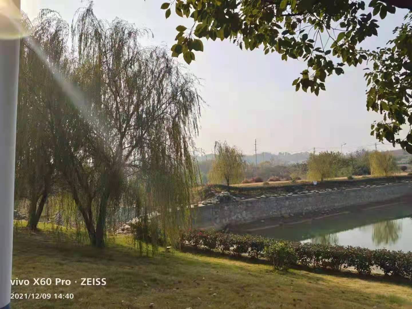 望江公园在什么地方 d49bda8258364a58be69374870b433f9.jpeg