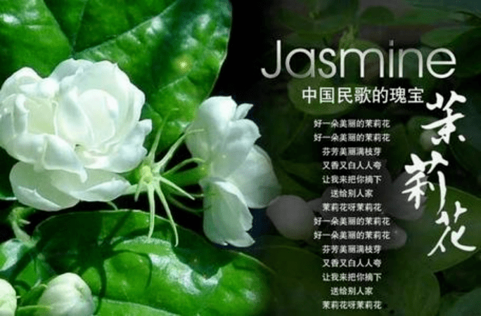 2007年,中国第一颗探月卫星嫦娥一号中,也特别选用这首歌曲搭载我的