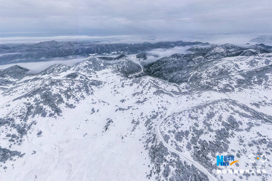 寒潮|重庆巫溪：冰雪奇缘秘境红池 这里的雪过分美丽