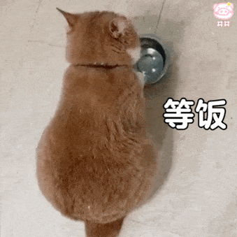 表情包动图全村人都在等你