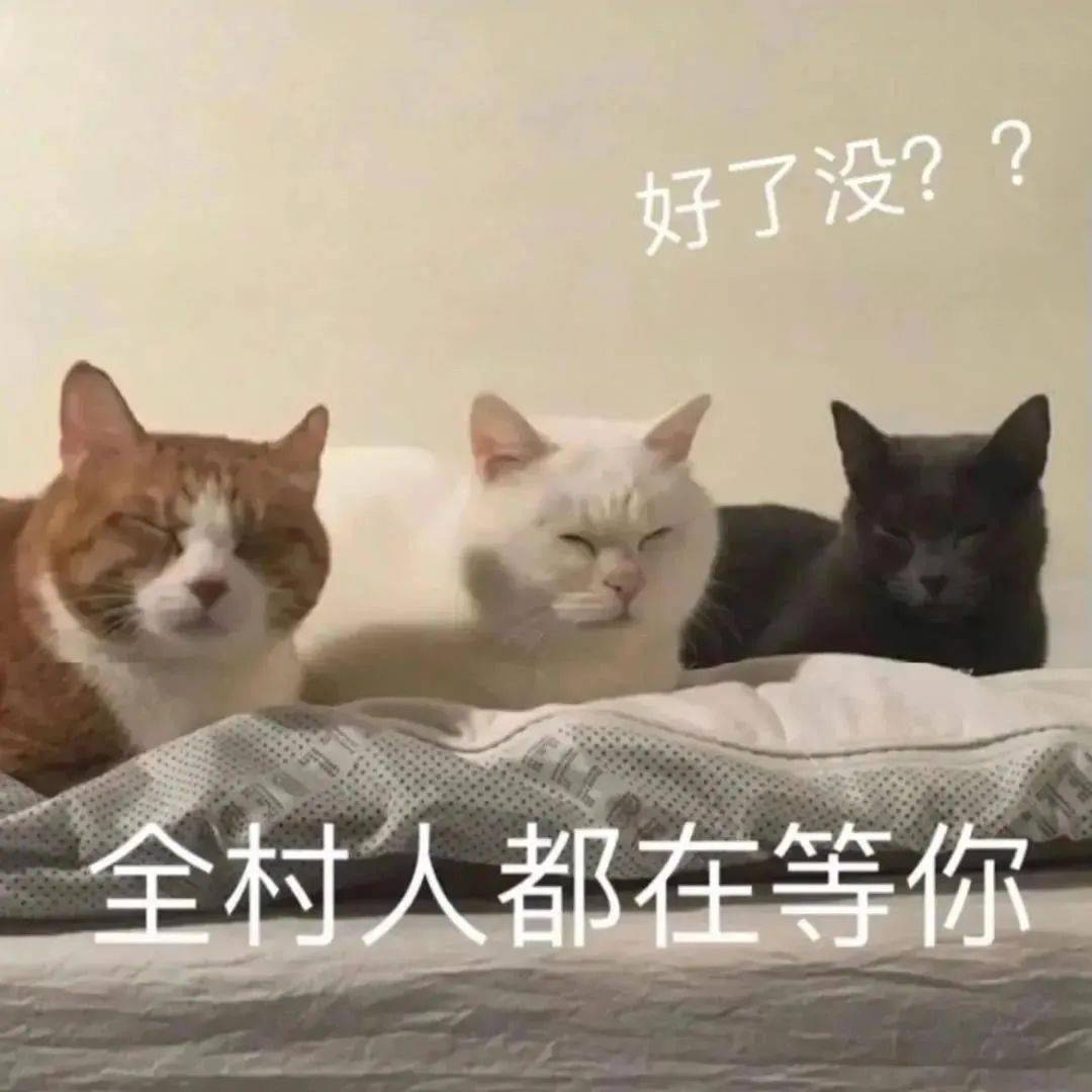 955e16ba0ae04cdfb9823e081110e37d.jpeg