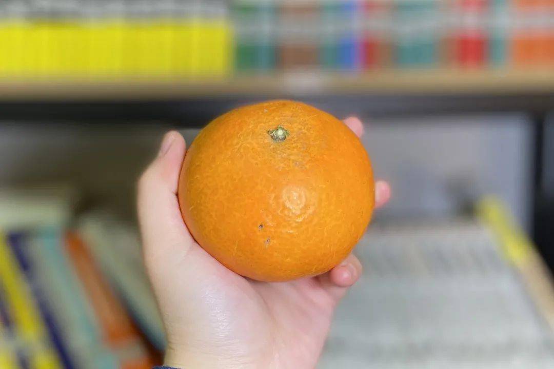 实测国内外8种热销橙子最好吃的果然是这种