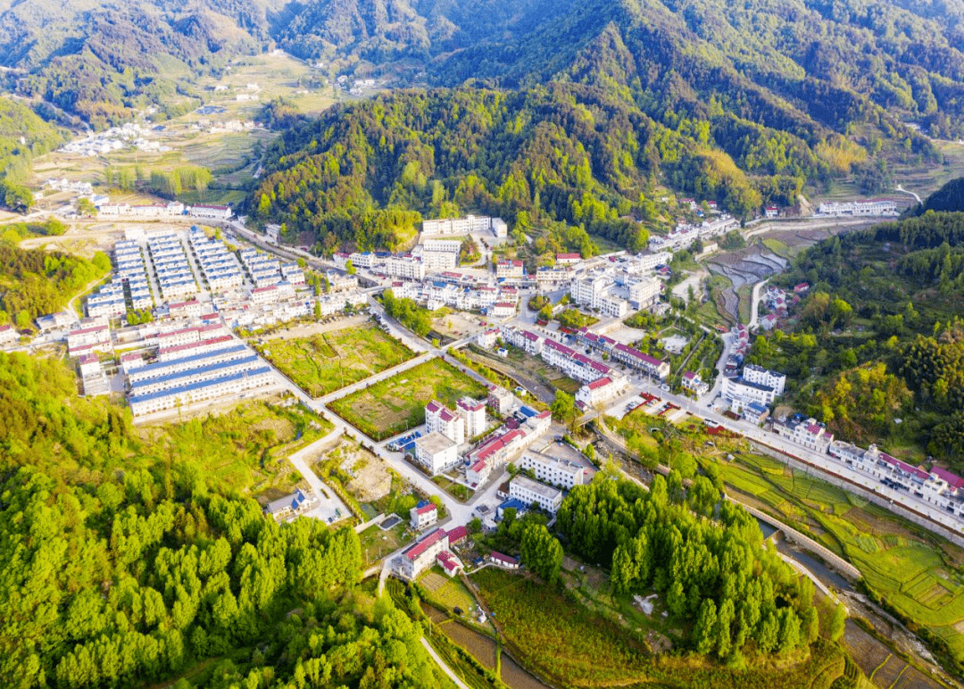 长岭乡首届"云端花海"旅游摄影大赛获奖作品出炉