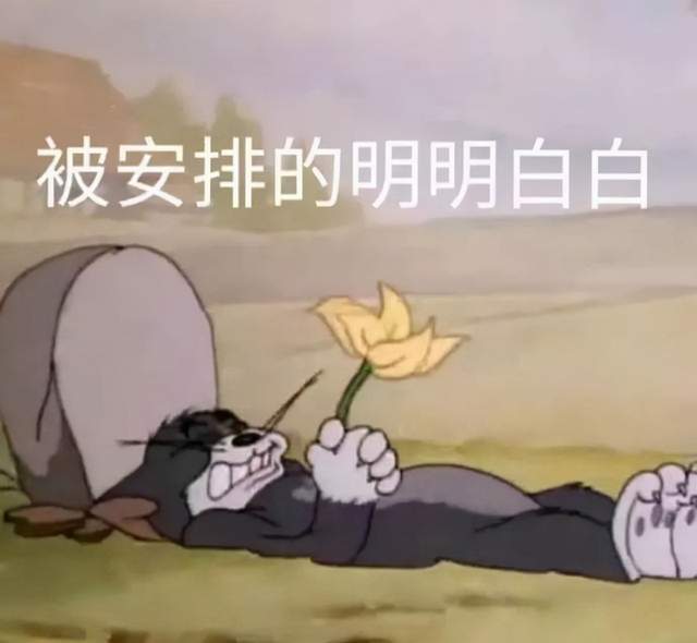 f031dbed16b0455fa8fbb03540f46ff8.jpeg