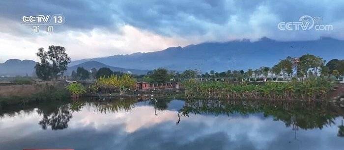 候鸟|假期访美景 | 冬日大屯海水天一色 越冬候鸟如约而至