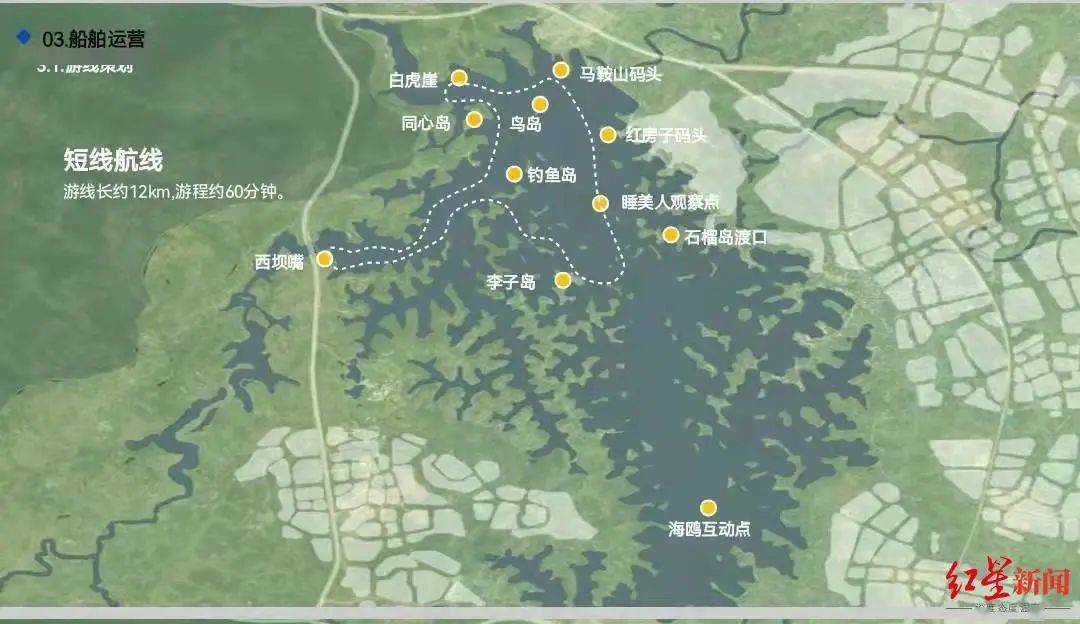 三岔湖"上新"!还能观赏候鸟_游船_成都_鸟儿