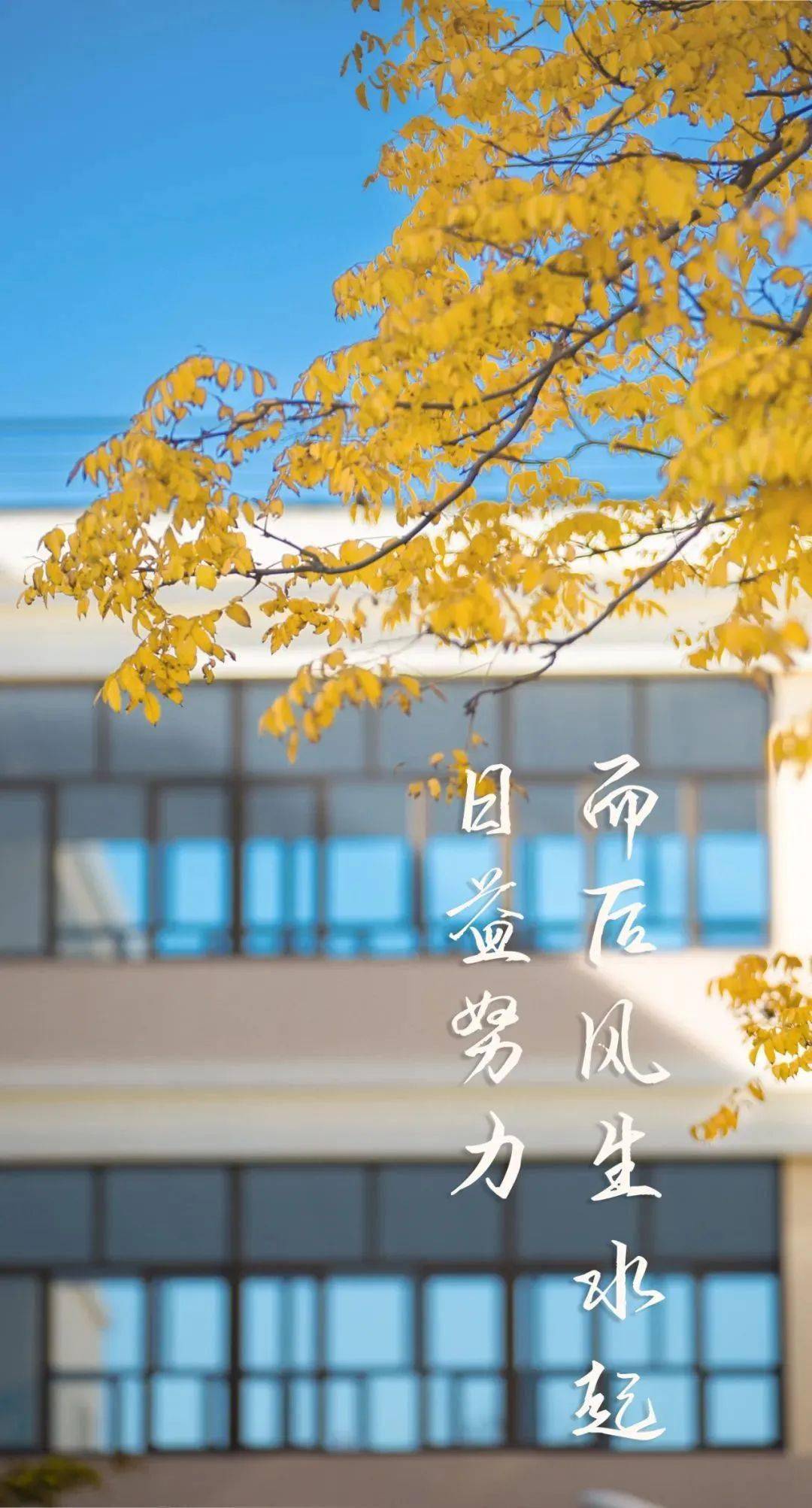 新年立flag快来pick你的目标高校壁纸保证看一眼就元气满满