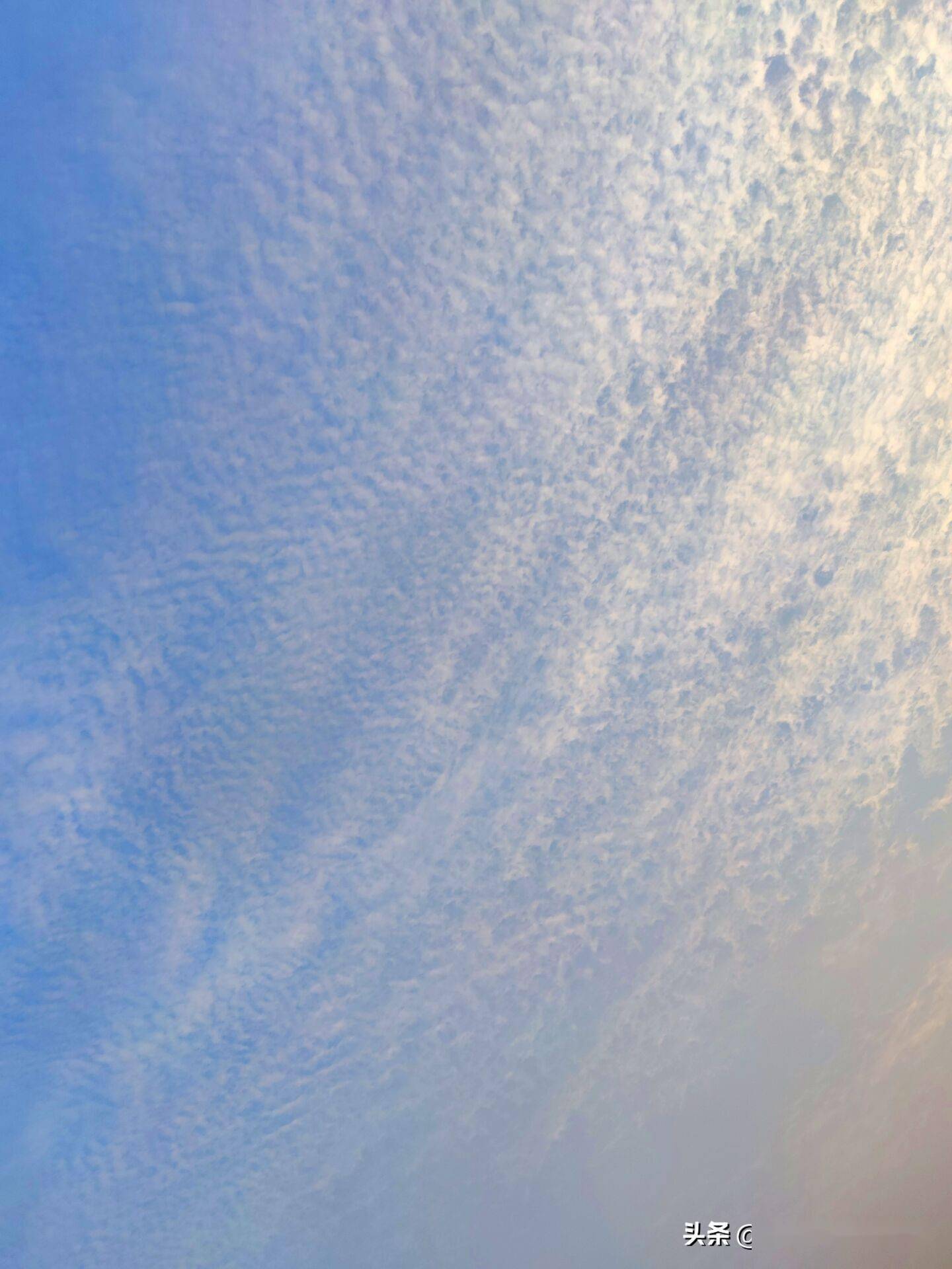 江南天空出现鱼鳞云南方即将雨淋淋分析大范围雨雪确定要来