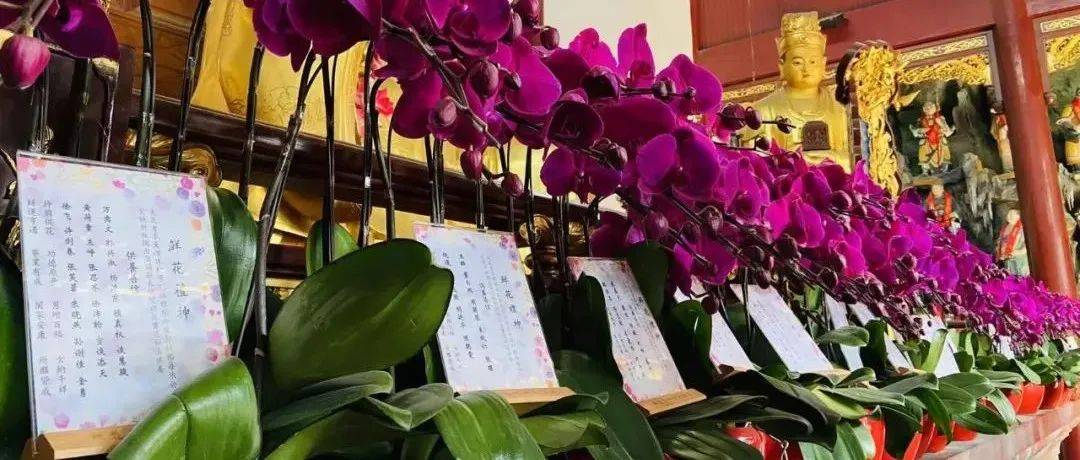 鲜花礼神｜上海白云观主殿神前鲜花接受供养！_信仰_花为_神明