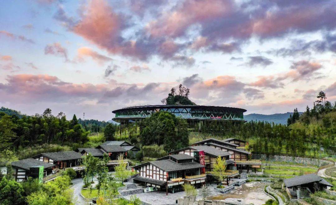 看见·变化 | 乡村之变:人勤家和产业兴_长坪村_南川_发展