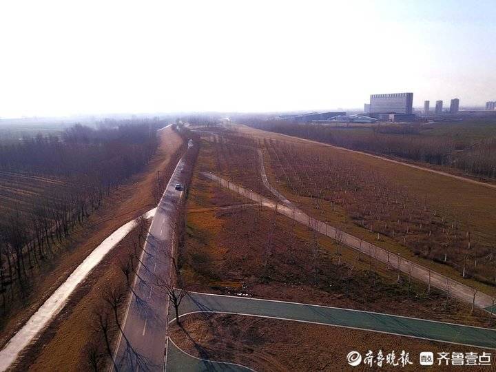 濟南黃河大堤正建起步區黃河公園曲線優美林木茂密