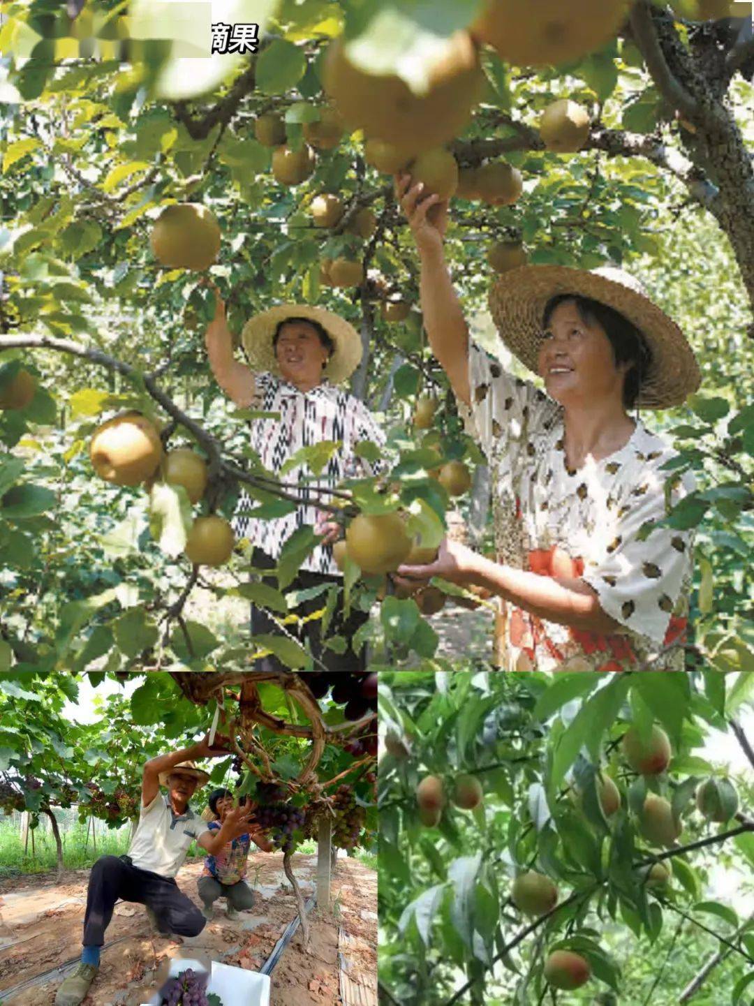 江海|日出江海，美丽启东！在启东，一年四季都有不一样的体验！