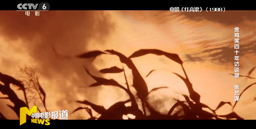 方法|十擒金鸡,张艺谋:这是全世界最难拿的奖|金鸡奖四十年