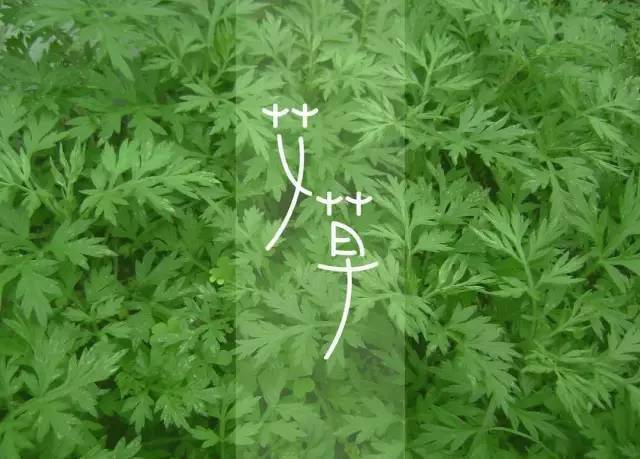 b5ff756c56804ab0b7f562a1a2ebfcfe.jpeg
