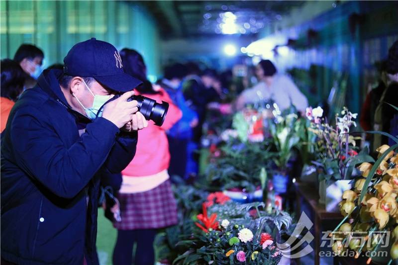 花市|上海世博文化公园年味初显 原法国馆成为鲜花美酒的海洋[多图]