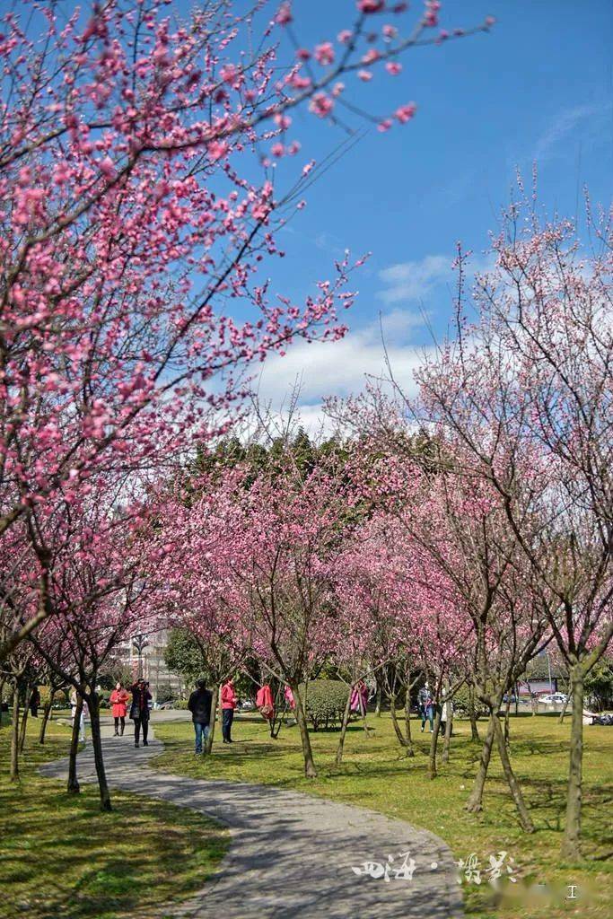 都过|又见都江堰！这是我生活的地方，一座幸福感爆棚的城市！