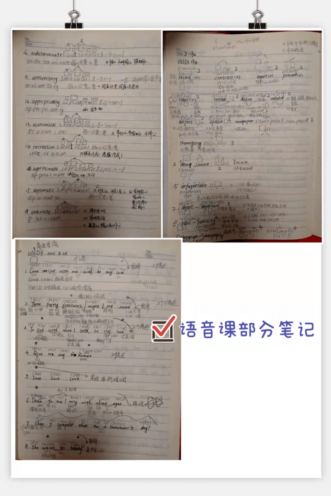 teachergwen让我学会了什么是坚持