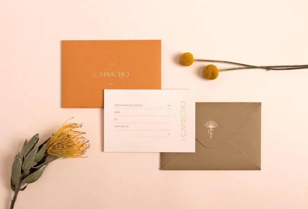 品牌设计全套案例课程 094245aadf0f4cb7b5be6e96725d7948.jpeg