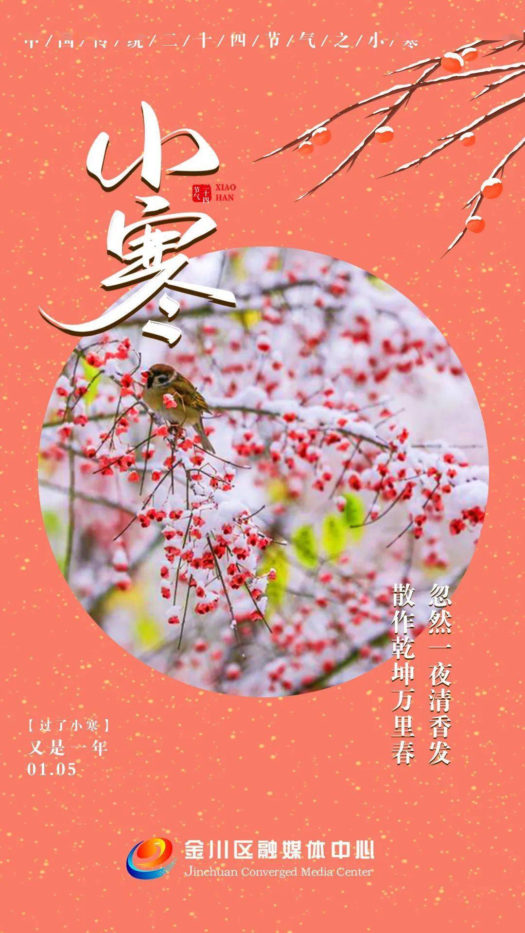 冰雪【微海报】今日小寒 | 冰雪林中著此身 不同桃李混芳尘