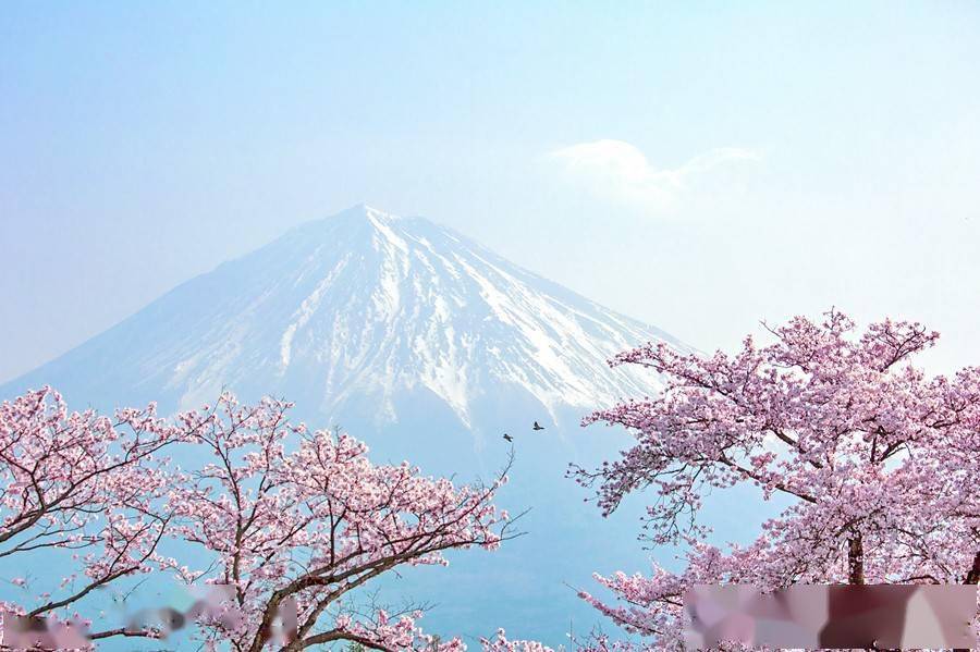 日本人与富士山 对富士山的恐惧 为何转化为禁欲者的山岳信仰 登山 民众 江户