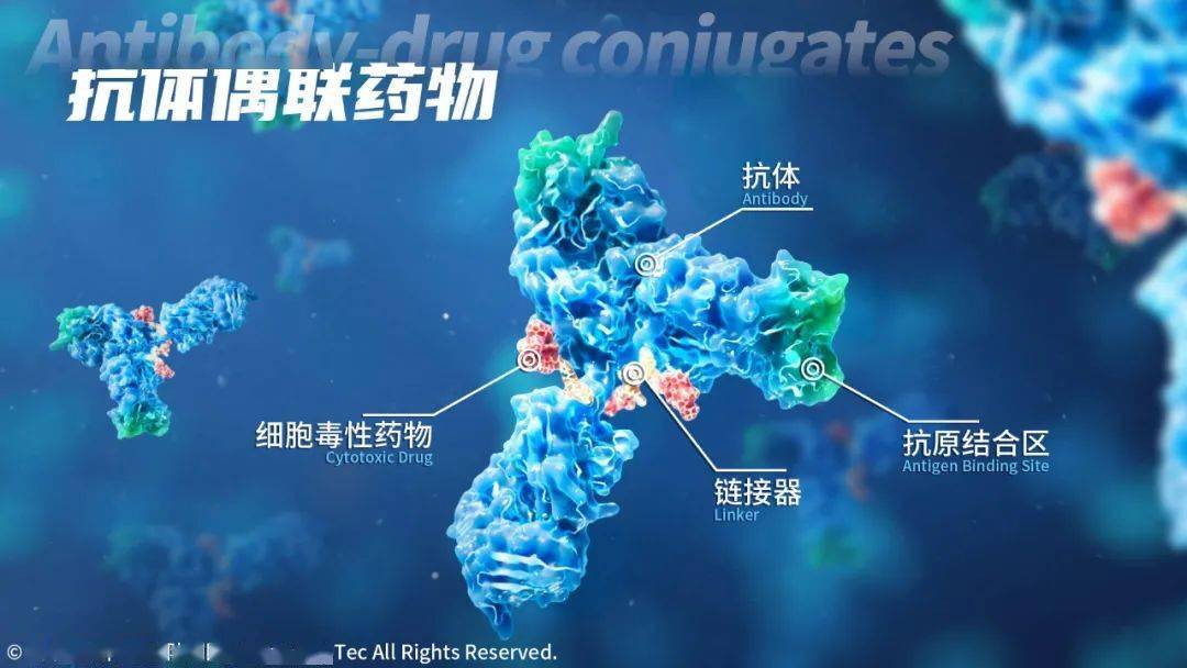 速递 | 艾伯维adc疗法获fda突破性疗法认定,治疗非小细胞肺癌