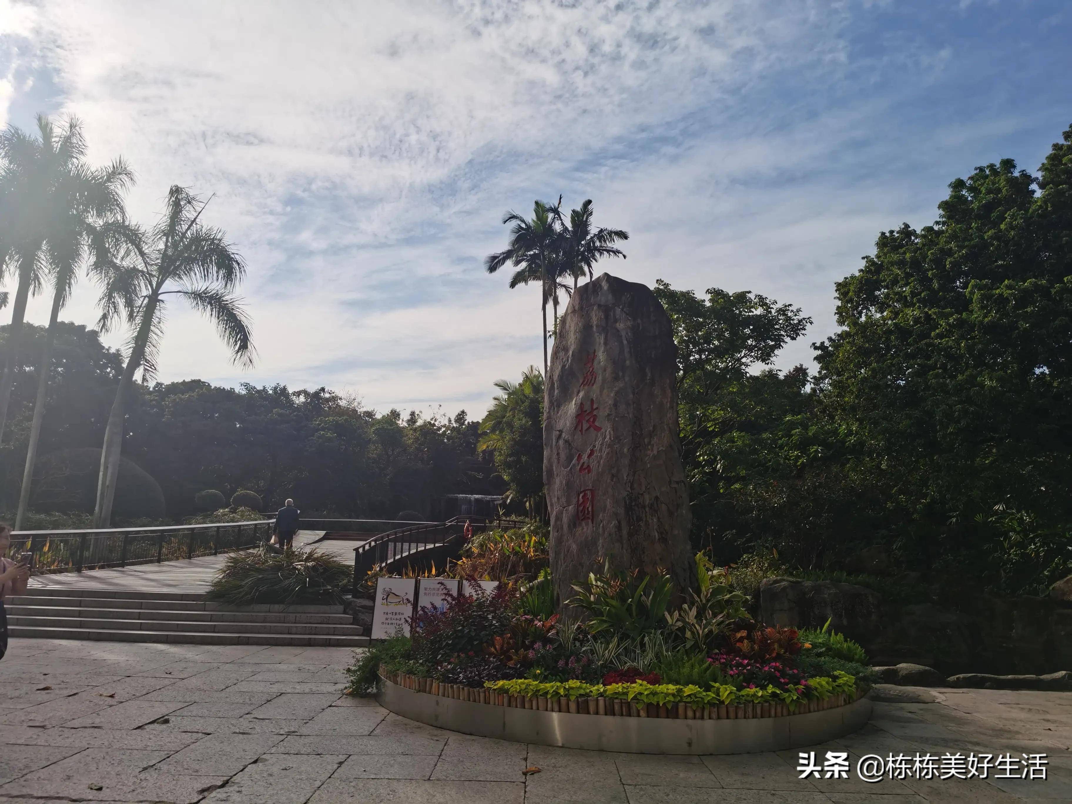 深圳市的荔枝公园环境真美，空气清新，休闲徒步运动好地方