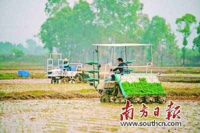 惠城区高质量营建现代农业产业园