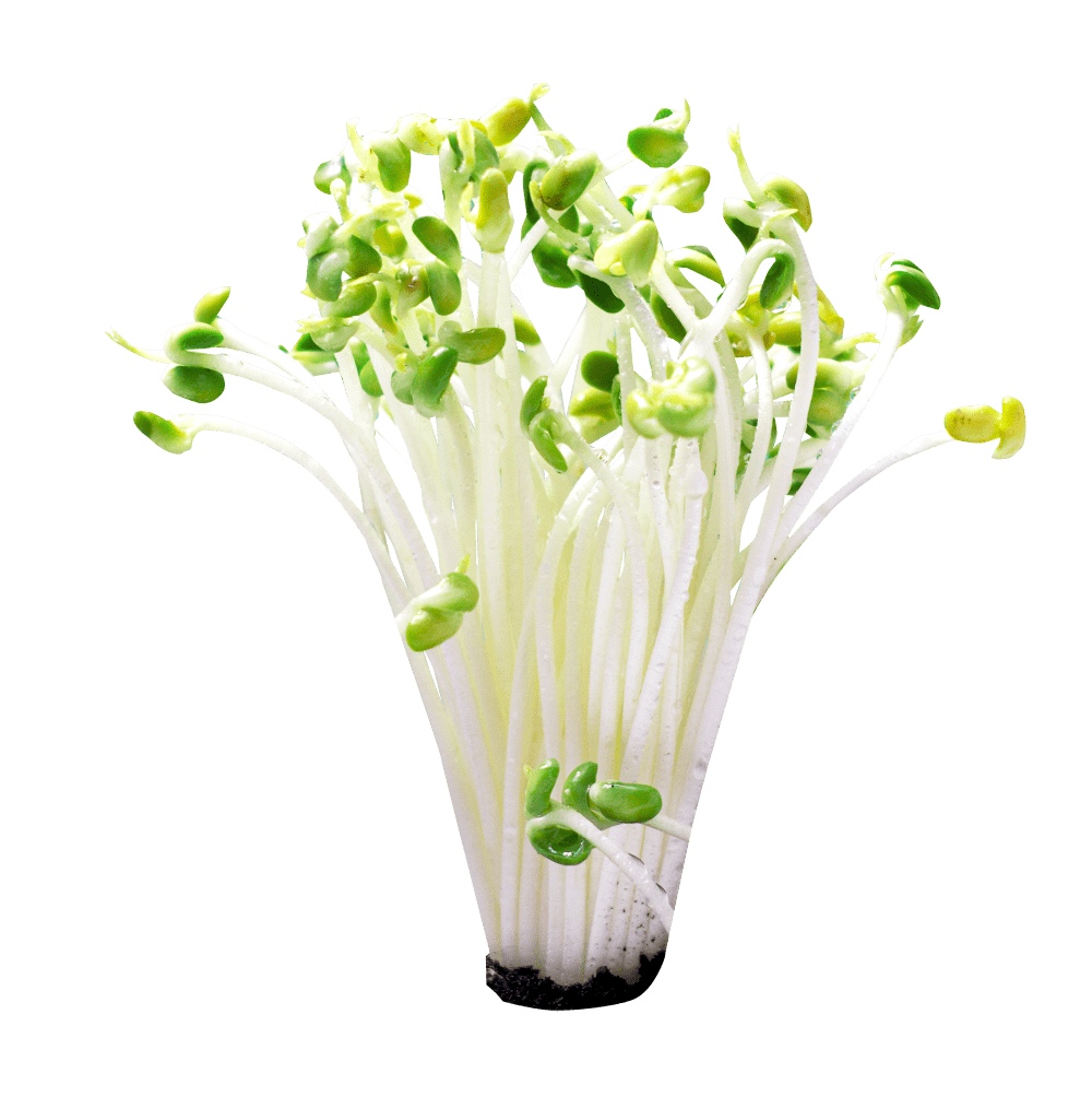 75ead274a870452aadedc459a72b3e15.png