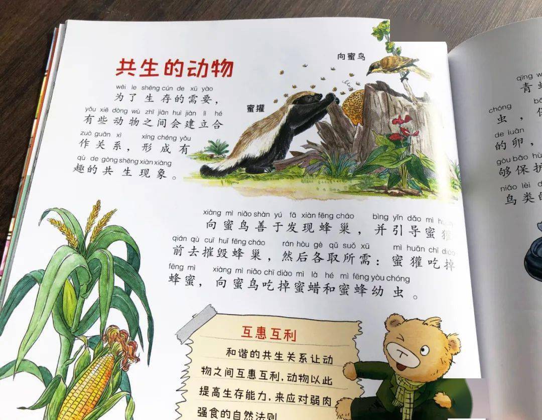 ▌《海洋总动员》凶猛的大白鲨扩展知识点:有杀伤力的皮肤孩子们想到