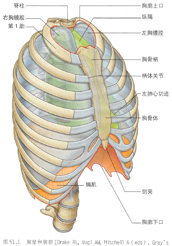 kyouheki Meaning In Japanese - Mazii